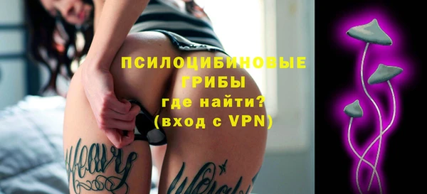 стаф Баксан