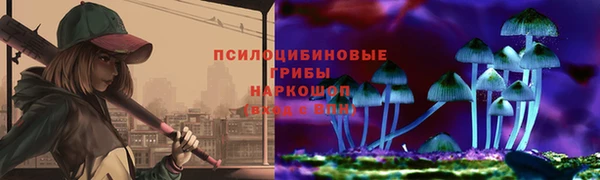 прущие грибы Снежинск