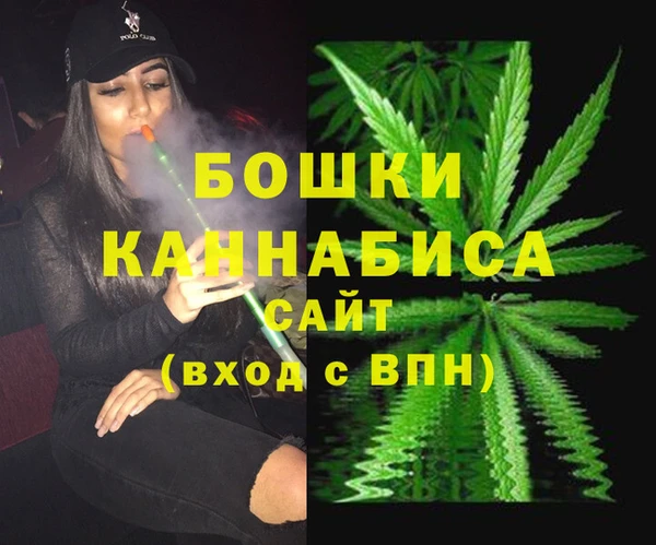 ПСИЛОЦИБИНОВЫЕ ГРИБЫ Балабаново
